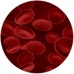 blood-disease-indicator image