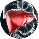 liver-disease-indicator